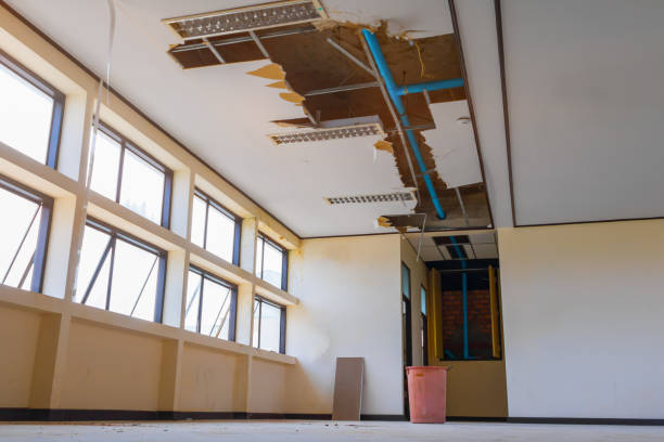 Best Water damage contractors near me  in Alderwood Manor, WA