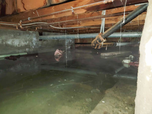Water damage restoration insurance claims in Alderwood Manor, WA