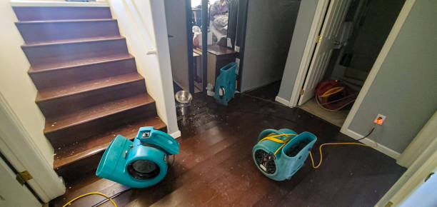 Best Professional water damage repair  in Alderwood Manor, WA