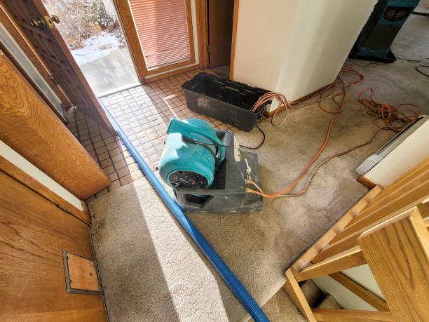 Best Residential water damage restoration  in Alderwood Manor, WA