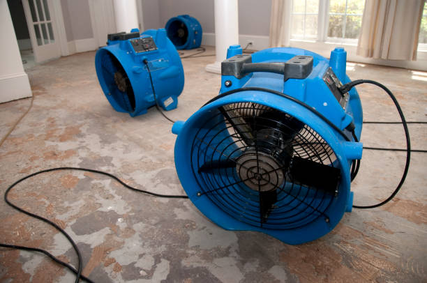 Best Water damage contractors near me  in Alderwood Manor, WA