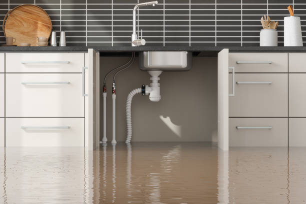 Best Mold removal after water damage  in Alderwood Manor, WA