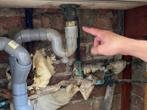 Best Water damage restoration insurance claims  in Alderwood Manor, WA