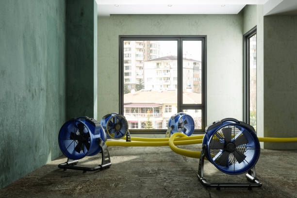 Best Fire Damage Restoration  in Alderwood Manor, WA