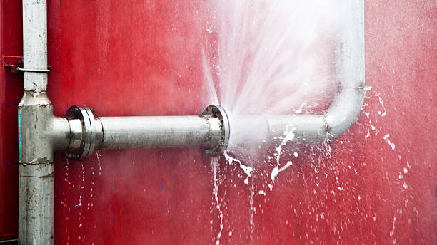 Best Carpet water damage restoration  in Alderwood Manor, WA