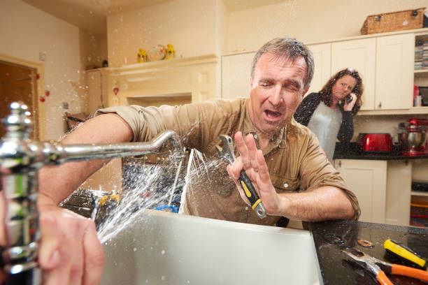 Best Basement water damage restoration  in Alderwood Manor, WA